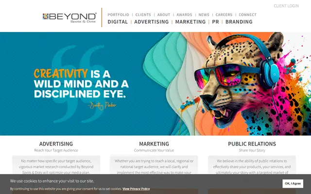 Beyond Spots & Dots homepage