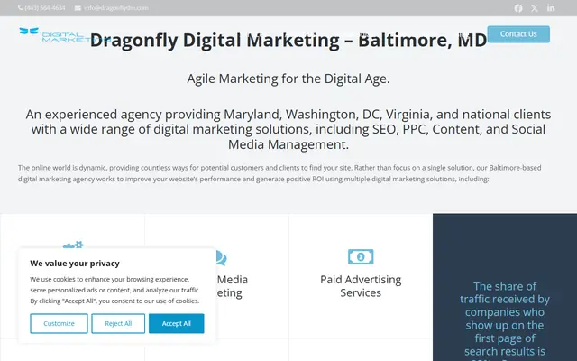 Dragonfly Digital Marketing homepage