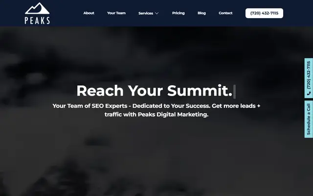 Peaks Digital Marketing homepage