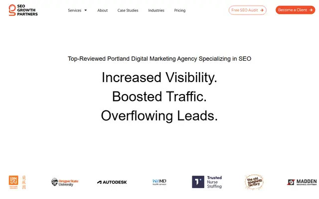 SEO Growth Partners homepage