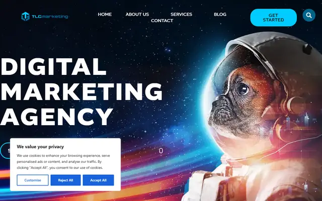 TLG Marketing homepage